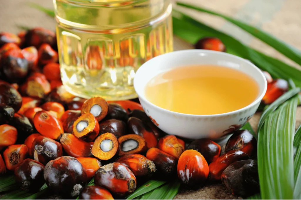 batana oil benefits Comparing raw batana oil benefits to luxury shampoo formulas.