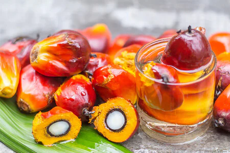 raw batana oil for hair growth in a glass